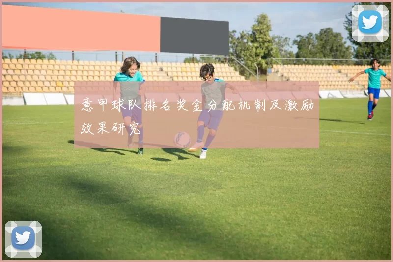 意甲球队排名奖金分配机制及激励效果研究