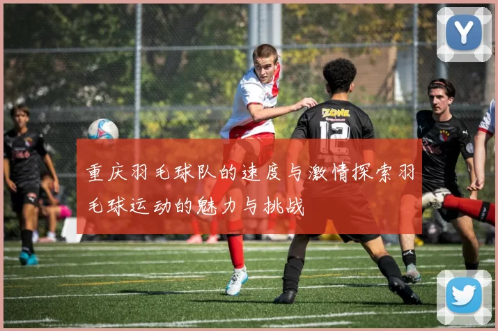 重庆羽毛球队的速度与激情探索羽毛球运动的魅力与挑战