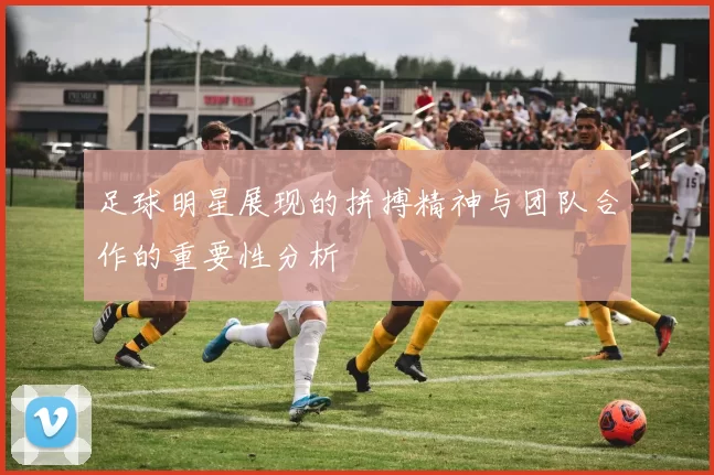 足球明星展现的拼搏精神与团队合作的重要性分析