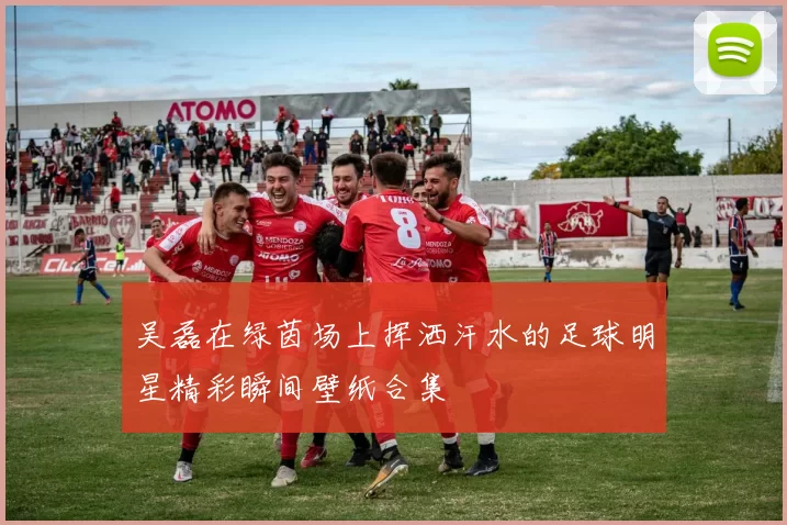 吴磊在绿茵场上挥洒汗水的足球明星精彩瞬间壁纸合集