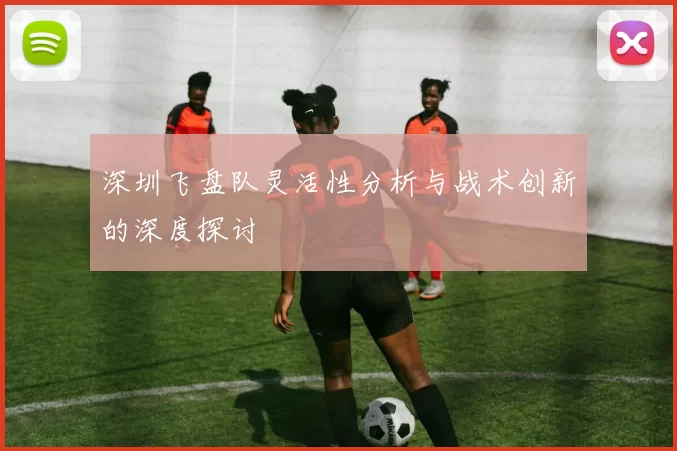 深圳飞盘队灵活性分析与战术创新的深度探讨