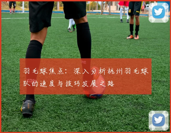 羽毛球焦点：深入分析杭州羽毛球队的速度与技巧发展之路