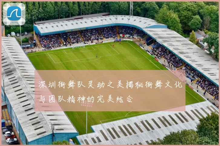深圳街舞队灵动之美揭秘街舞文化与团队精神的完美结合