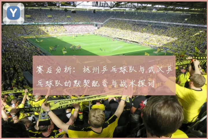 赛后分析：杭州乒乓球队与武汉乒乓球队的默契配合与战术探讨