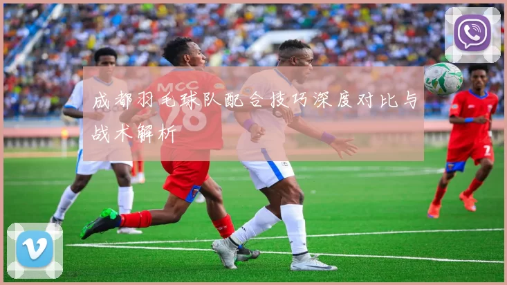 成都羽毛球队配合技巧深度对比与战术解析