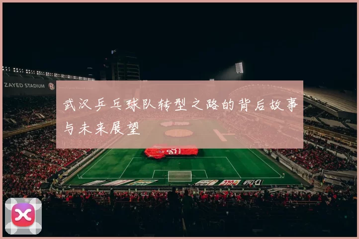 武汉乒乓球队转型之路的背后故事与未来展望